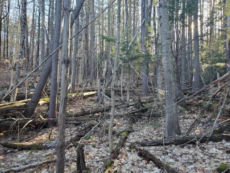 Lot #47 Gray Road Gorham ME 04038