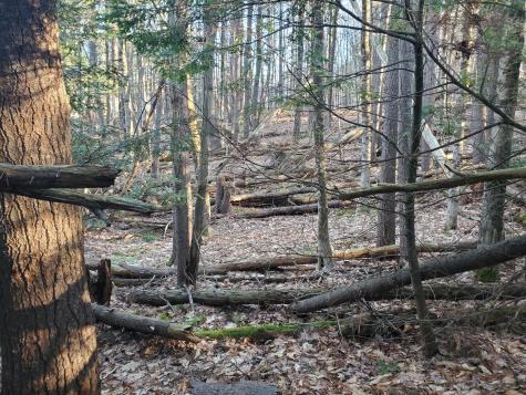 Lot #47 Gray Road Gorham ME 04038