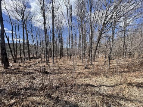 R6 L61a Day Mountain Road Temple ME 04984