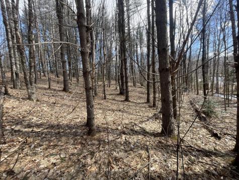 R6 L61a Day Mountain Road Temple ME 04984