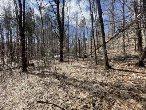 R6 L61a Day Mountain Road Temple ME 04984