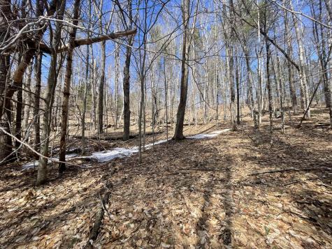 R6 L61a Day Mountain Road Temple ME 04984