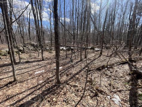 R6 L61a Day Mountain Road Temple ME 04984