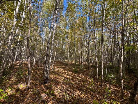 M4 Lot 1-4 Woodland Drive Carmel ME 04419