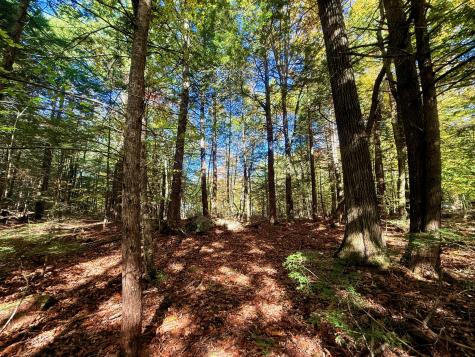 122 & 123 Aspen Estates Rome ME 04963