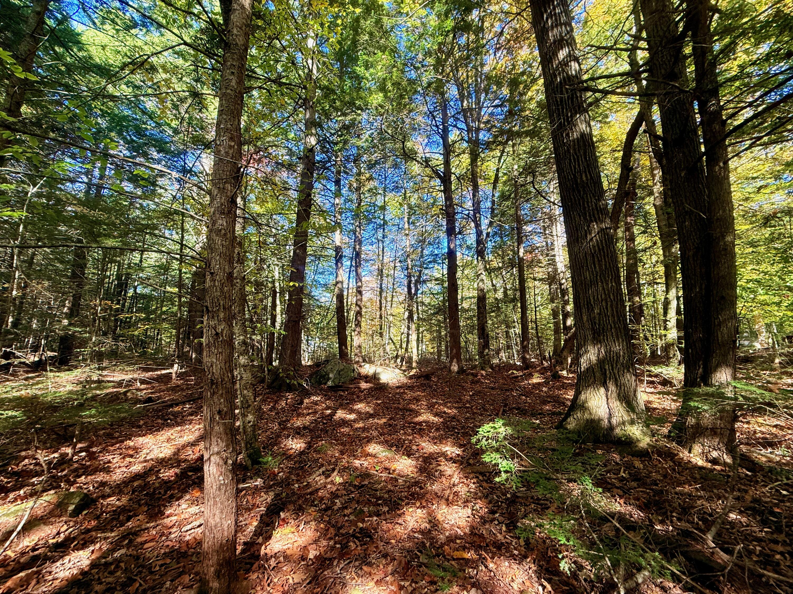 122 & 123 Aspen Estates Rome ME 04963