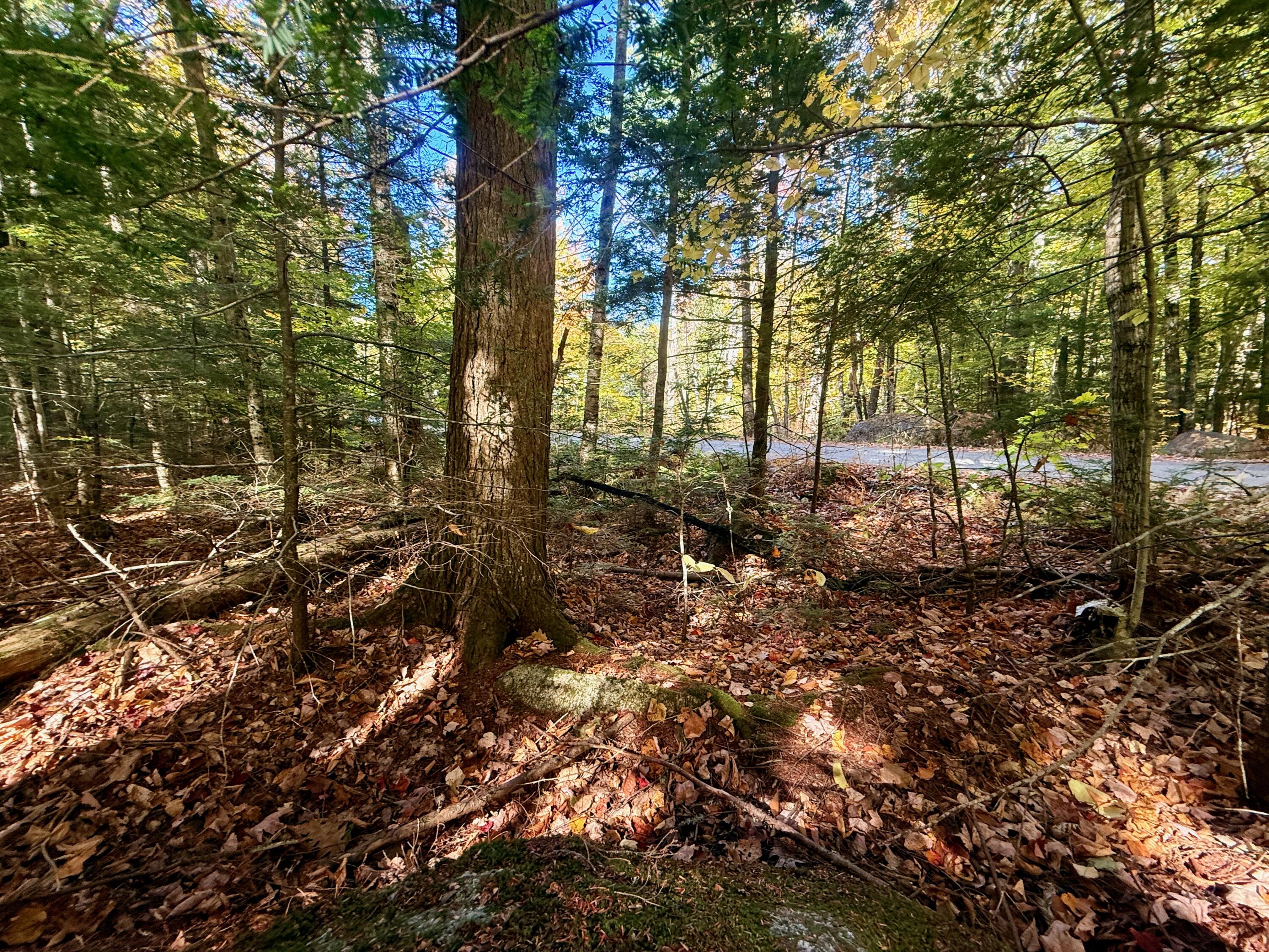 122 & 123 Aspen Estates Rome ME 04963