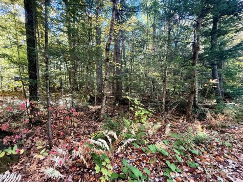 122 & 123 Aspen Estates Rome ME 04963