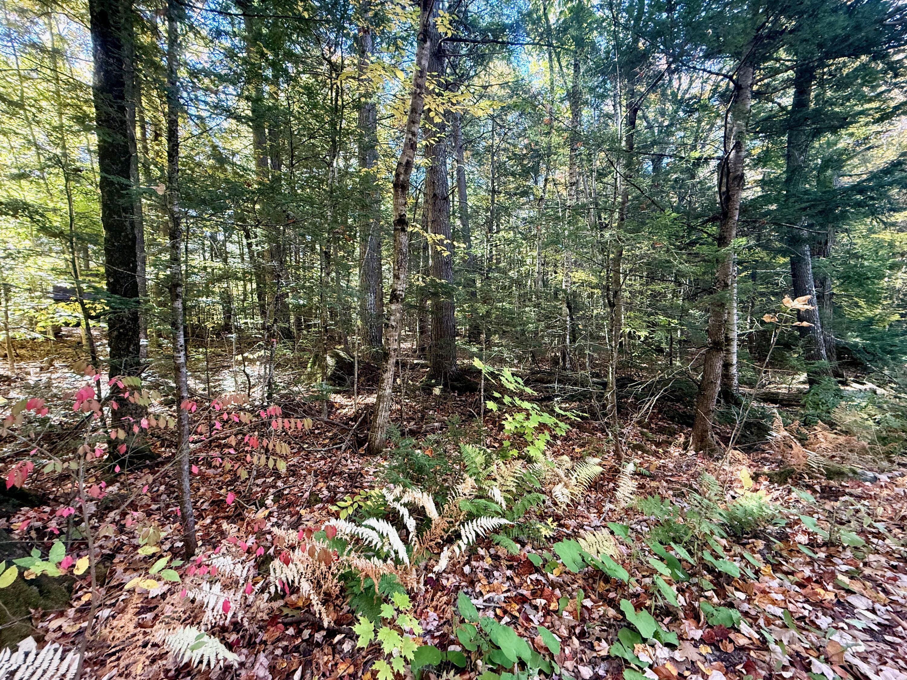 122 & 123 Aspen Estates Rome ME 04963