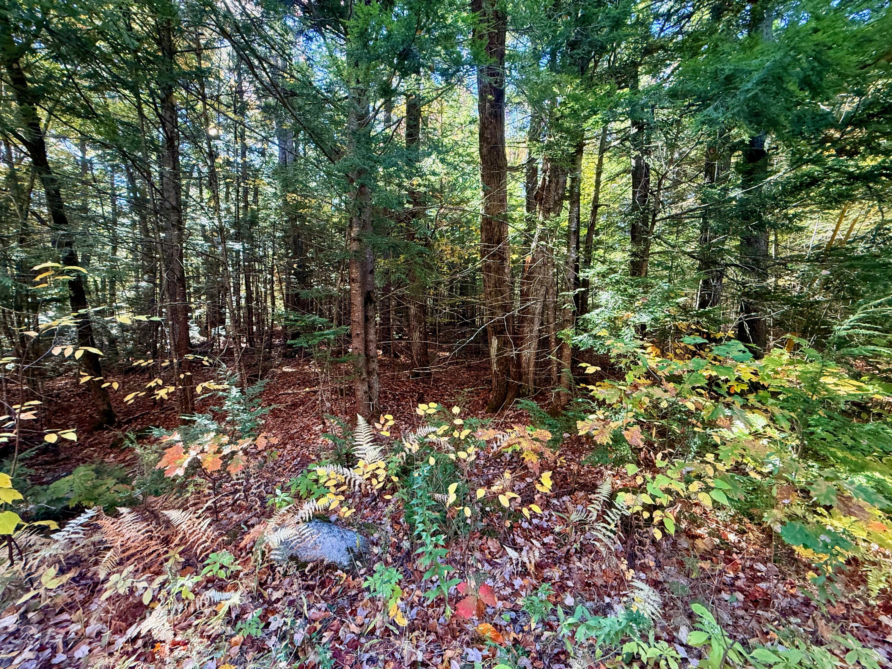 122 & 123 Aspen Estates Rome ME 04963