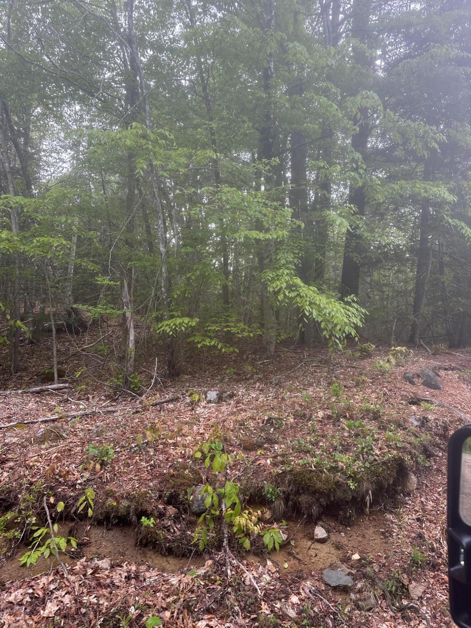 Lot 3 Morse District Road Steuben ME 04680