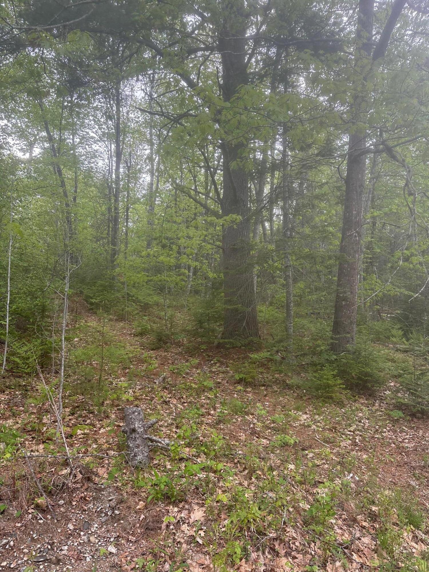 Lot 3 Morse District Road Steuben ME 04680
