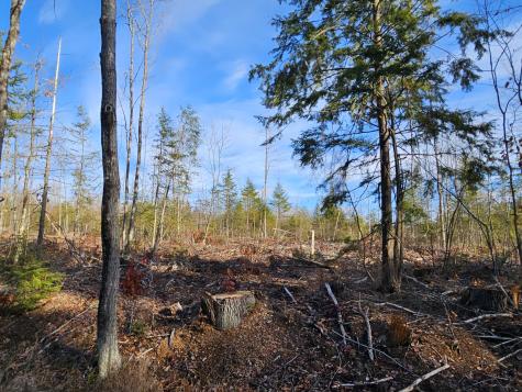 M-3 L-33-4 Cape Cod Hill Road New Sharon ME 04955