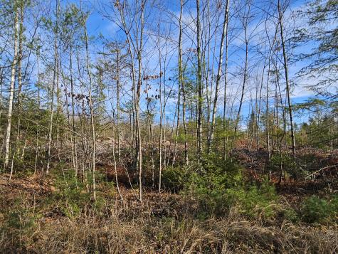 M-3 L-33-4 Cape Cod Hill Road New Sharon ME 04955