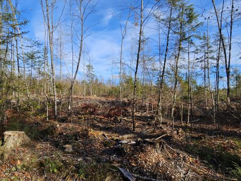 M-3 L-33-4 Cape Cod Hill Road New Sharon ME 04955