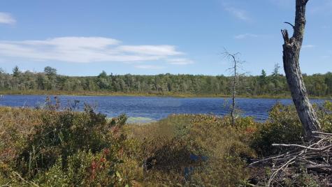 M4 96 & 99 Parker Pond Road Jay ME 04239