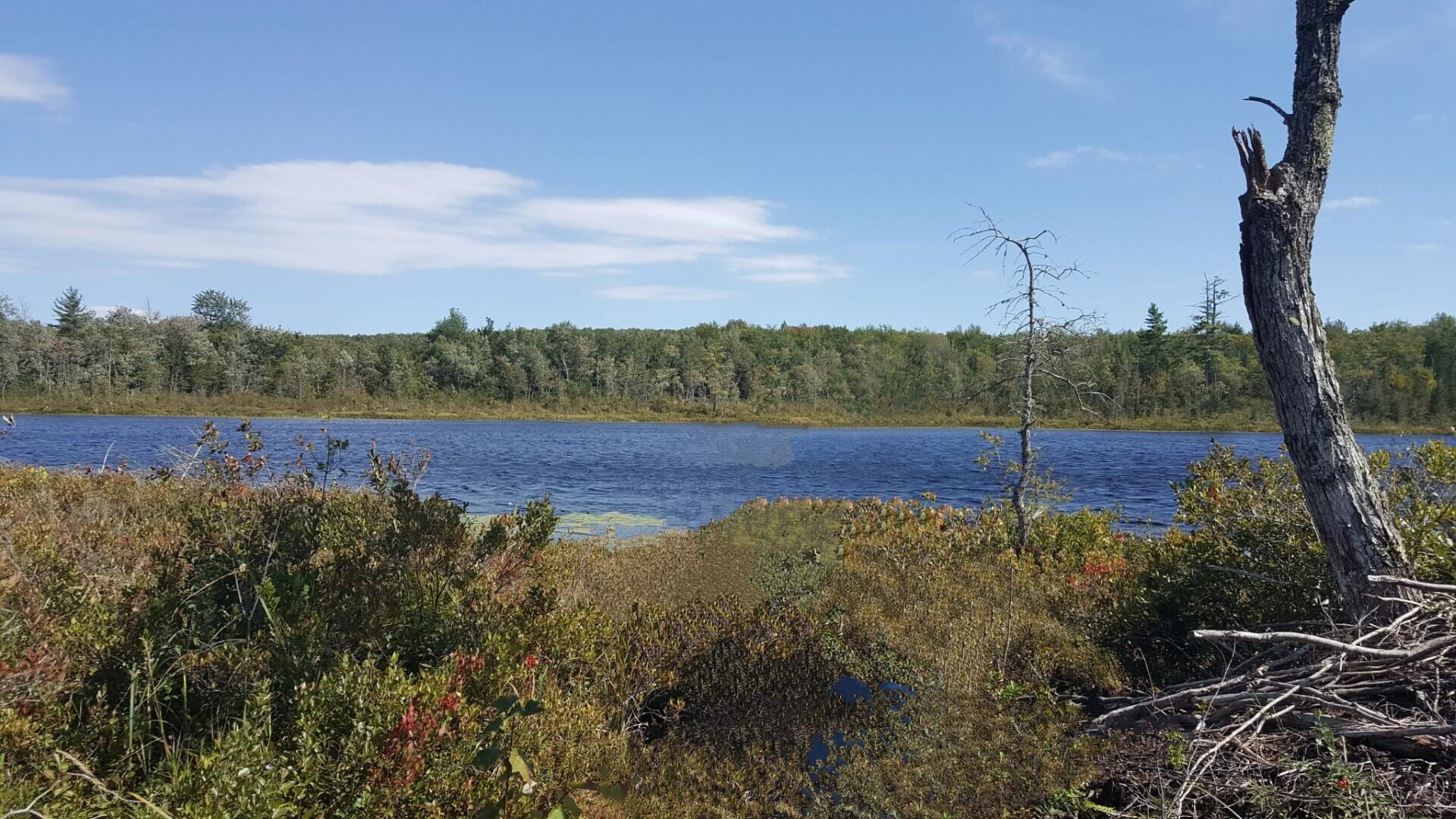 M4 96 & 99 Parker Pond Road Jay ME 04239