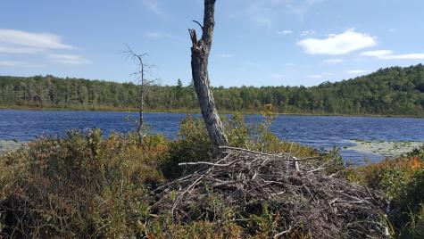 M4 96 & 99 Parker Pond Road Jay ME 04239