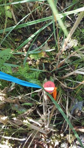 M4 96 & 99 Parker Pond Road Jay ME 04239