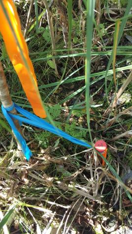 M4 96 & 99 Parker Pond Road Jay ME 04239