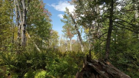 M4 96 & 99 Parker Pond Road Jay ME 04239