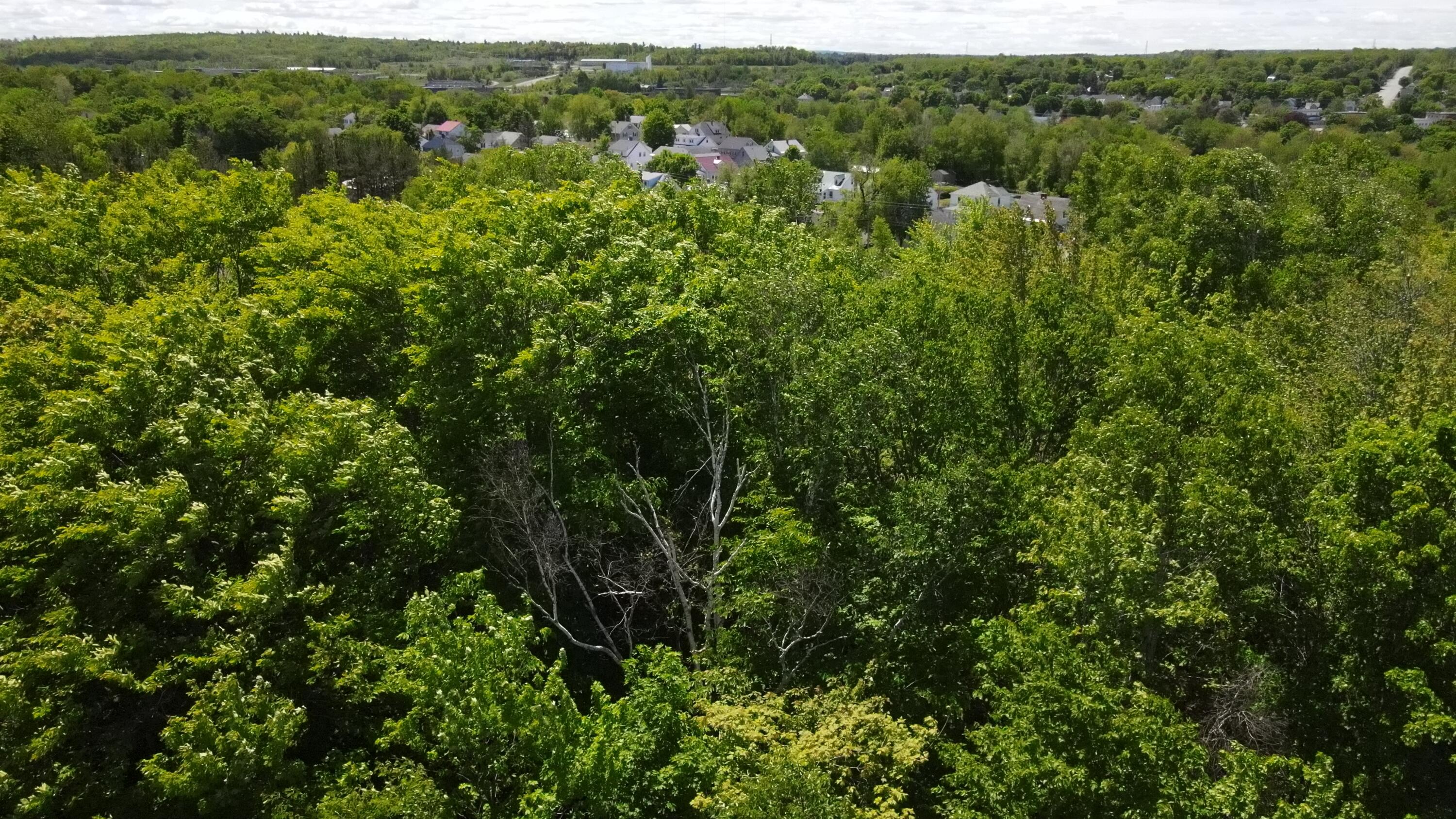 6 & 6a Forest Avenue Millinocket ME 04462