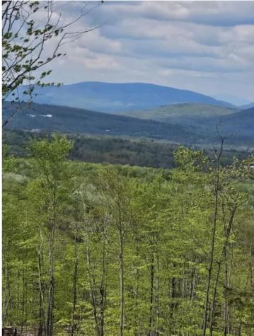 040 Streaked Mountain Road Buckfield ME 04220