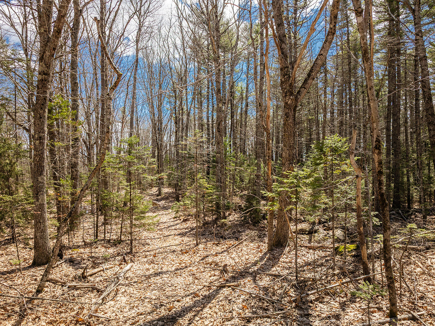 16-43-2 Old Four Rod Road Rockport ME 04856