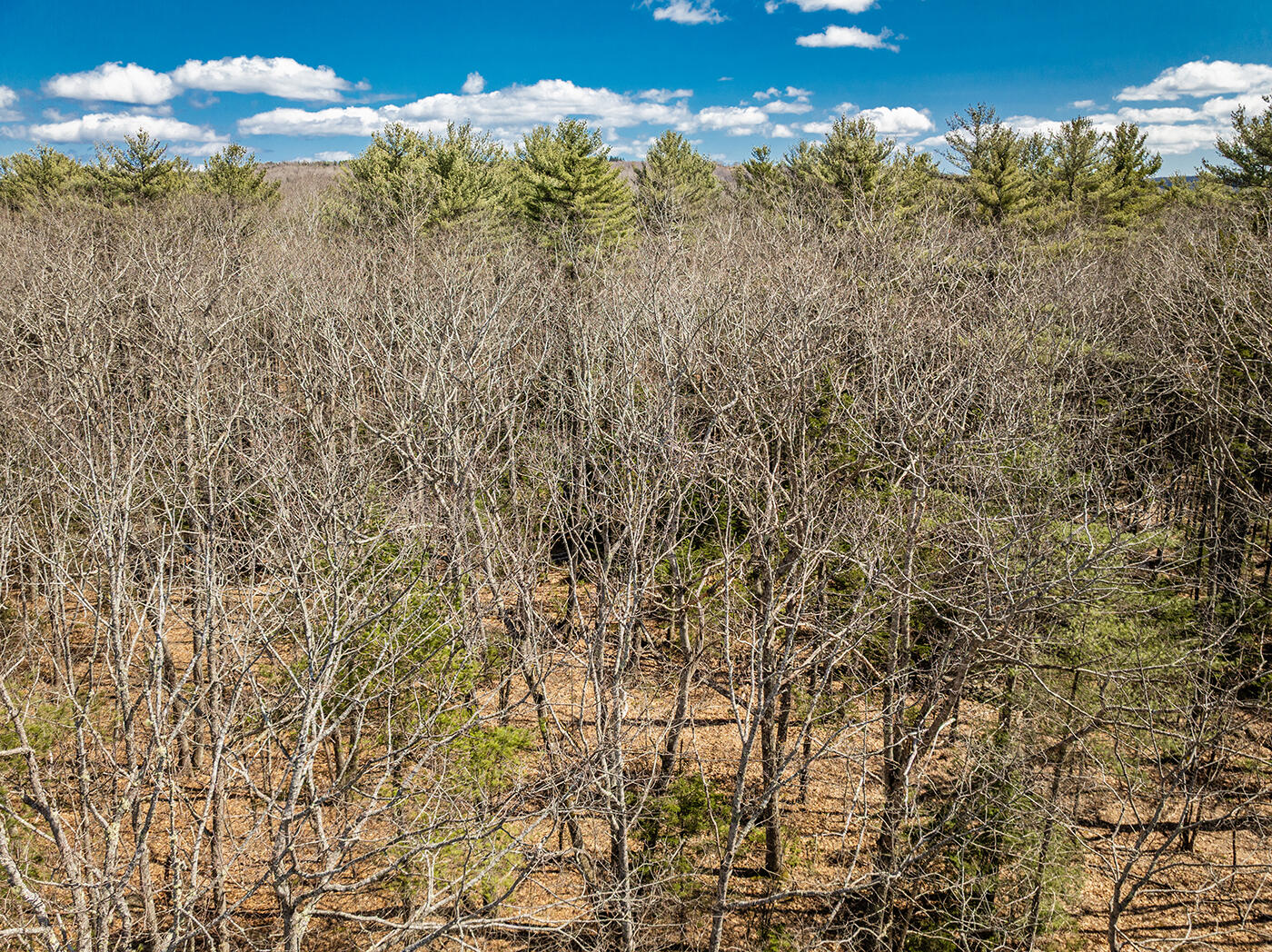 16-43-2 Old Four Rod Road Rockport ME 04856