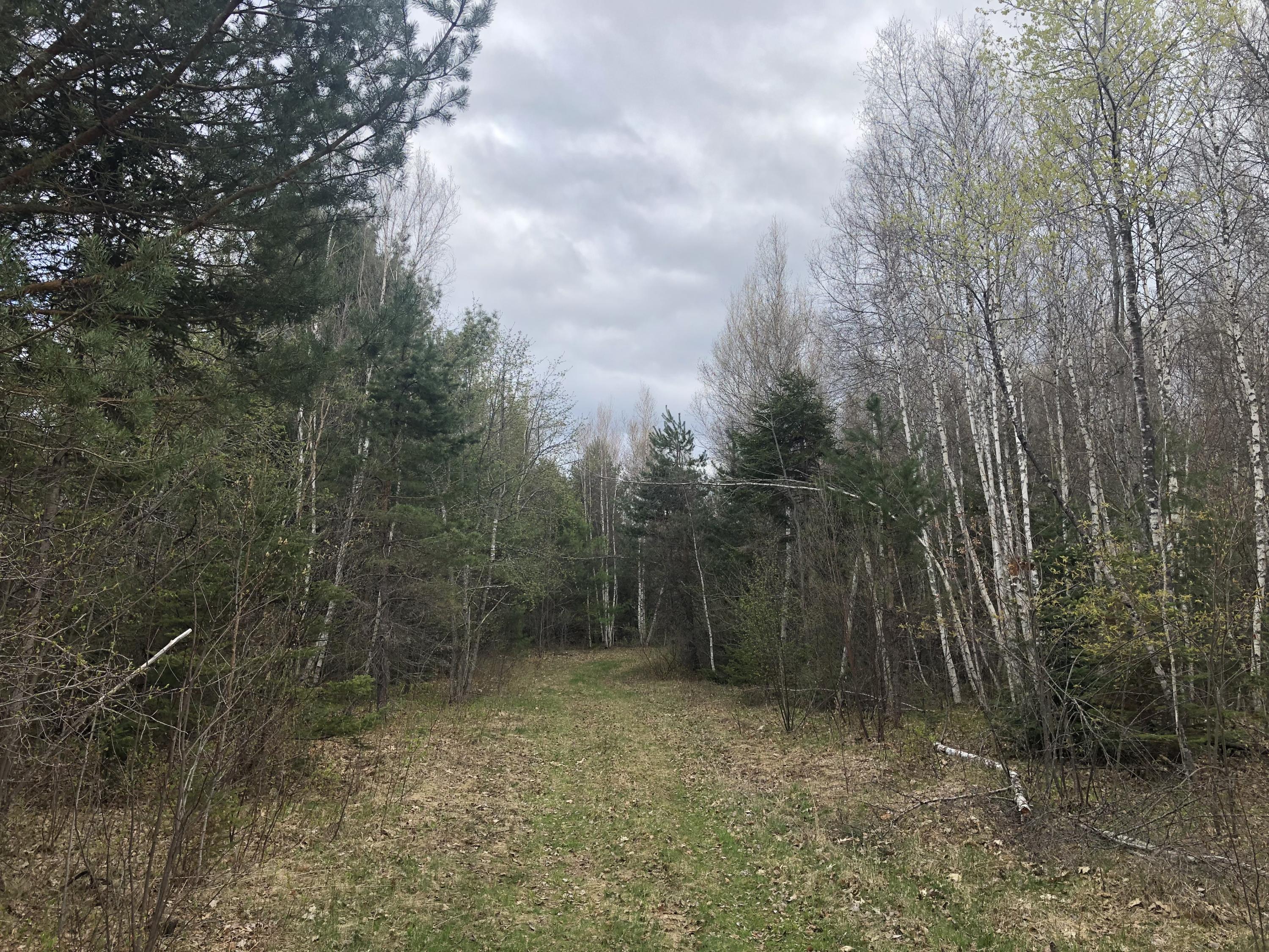 220 Goulds Ridge Road Passadumkeag Maine Real Estate Listing MLS 1415253