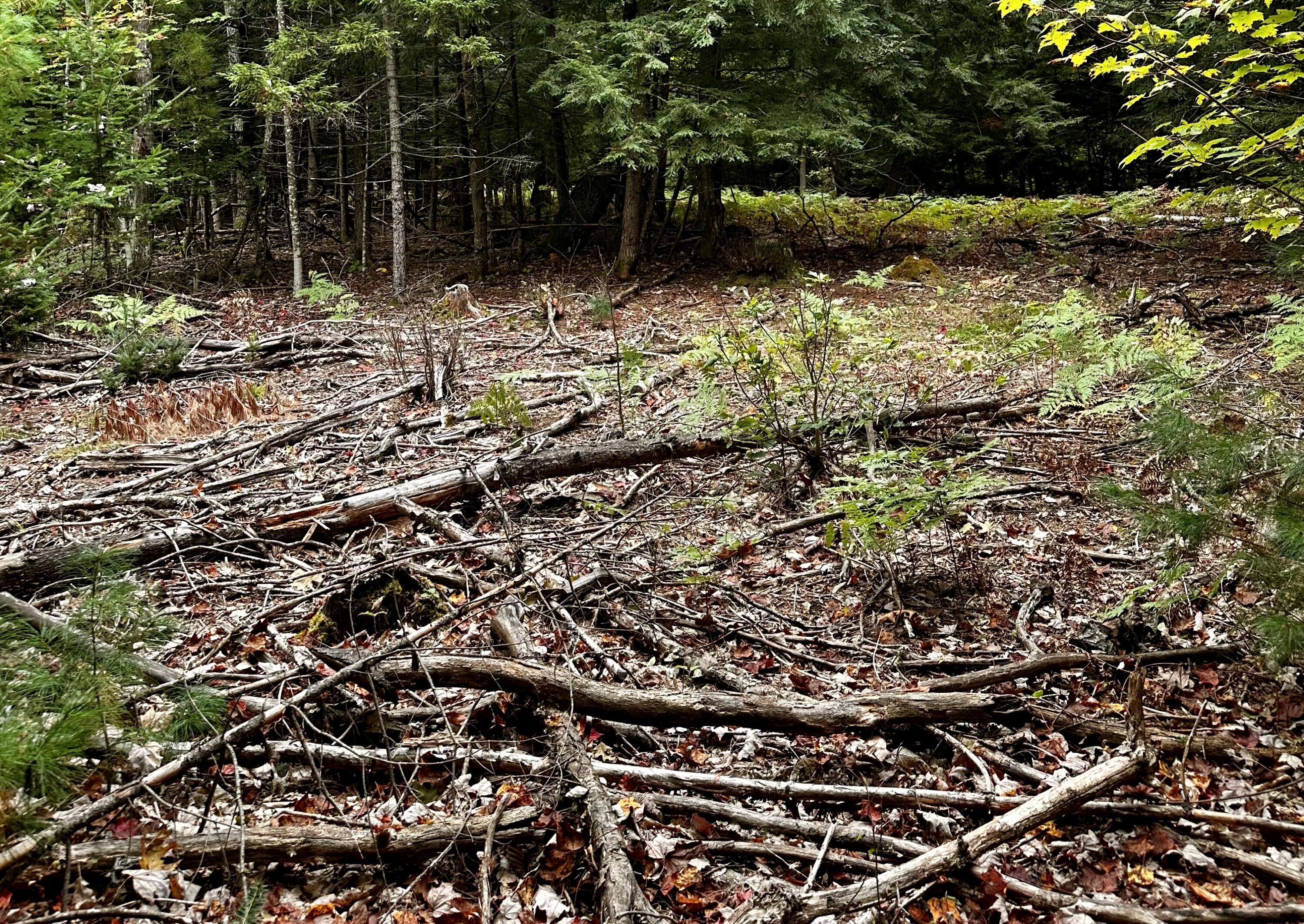 0 Father Rasle Road Norridgewock ME 04957