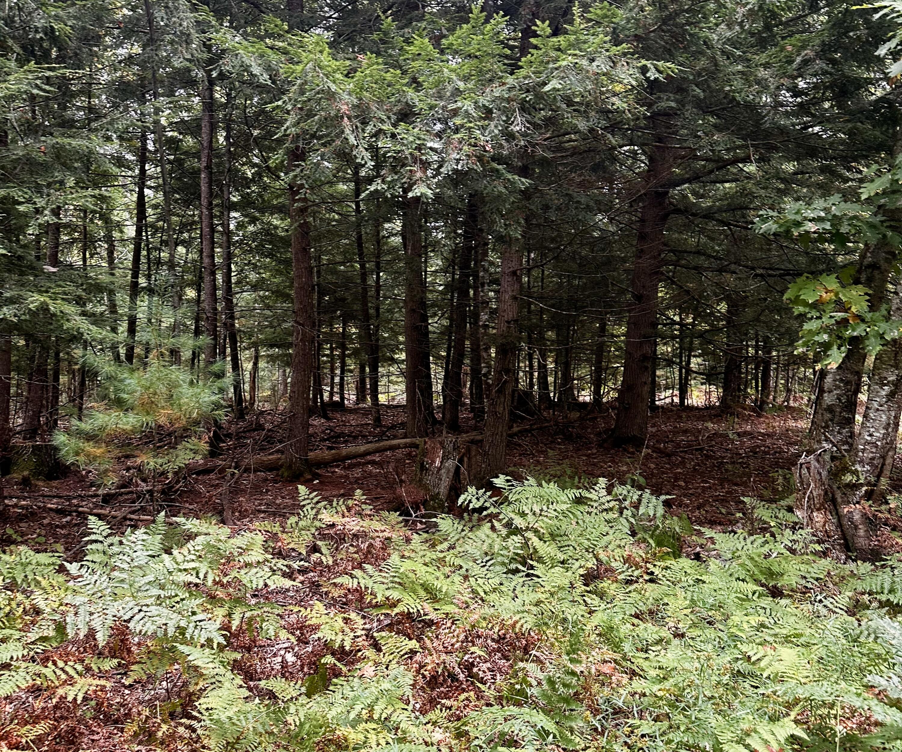 0 Father Rasle Road Norridgewock ME 04957