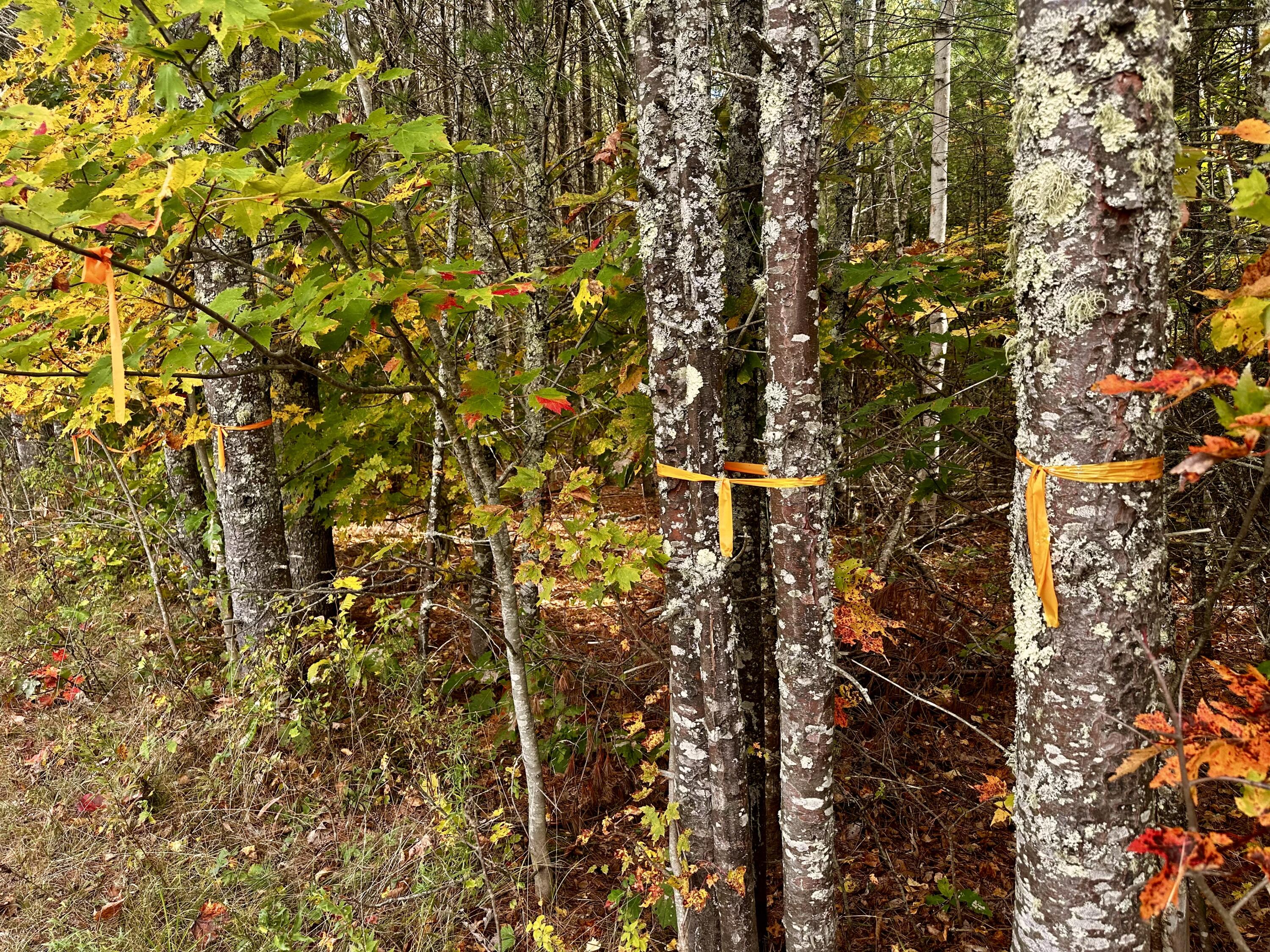 0 Father Rasle Road Norridgewock ME 04957