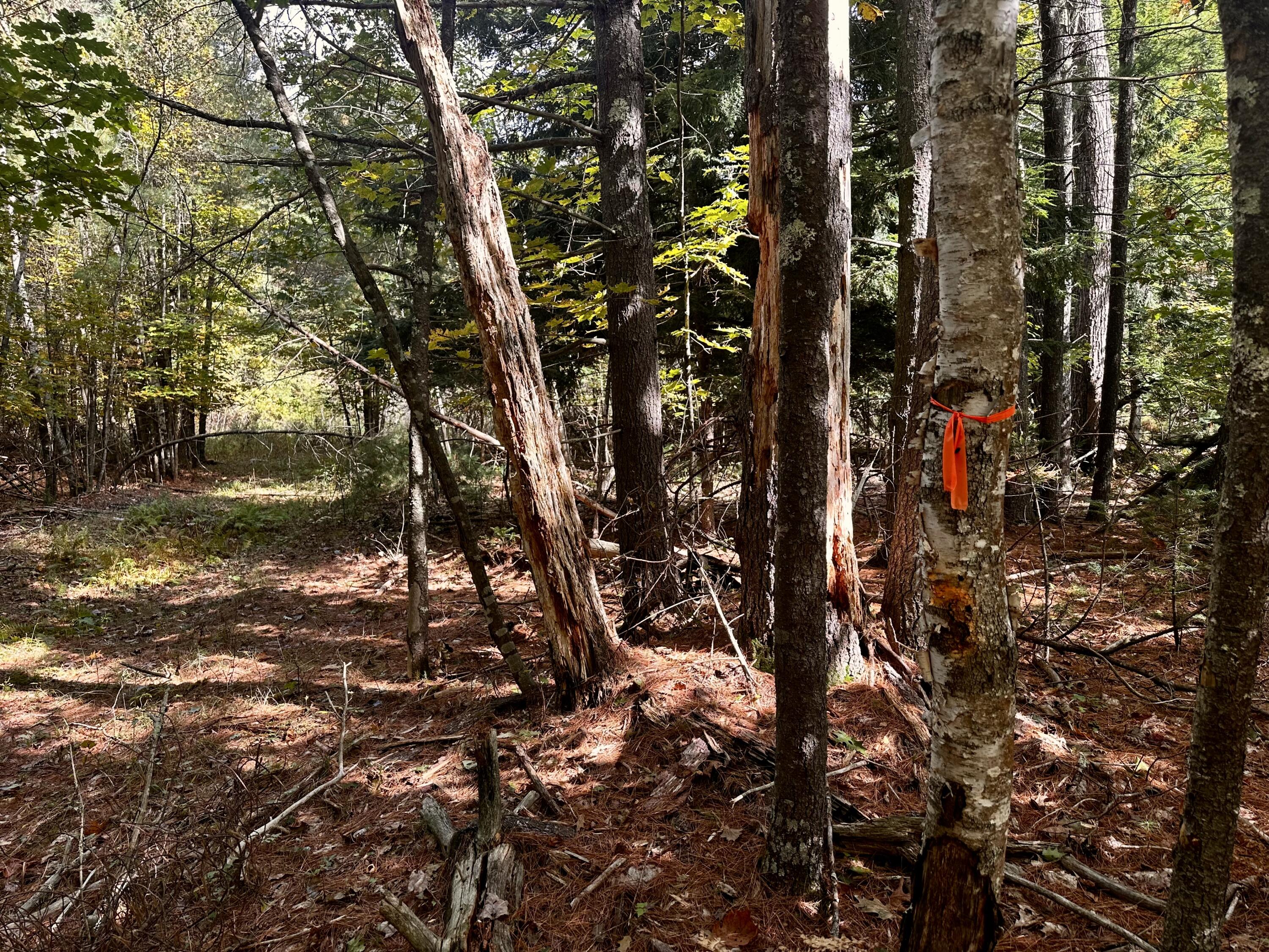 0 Father Rasle Road Norridgewock ME 04957