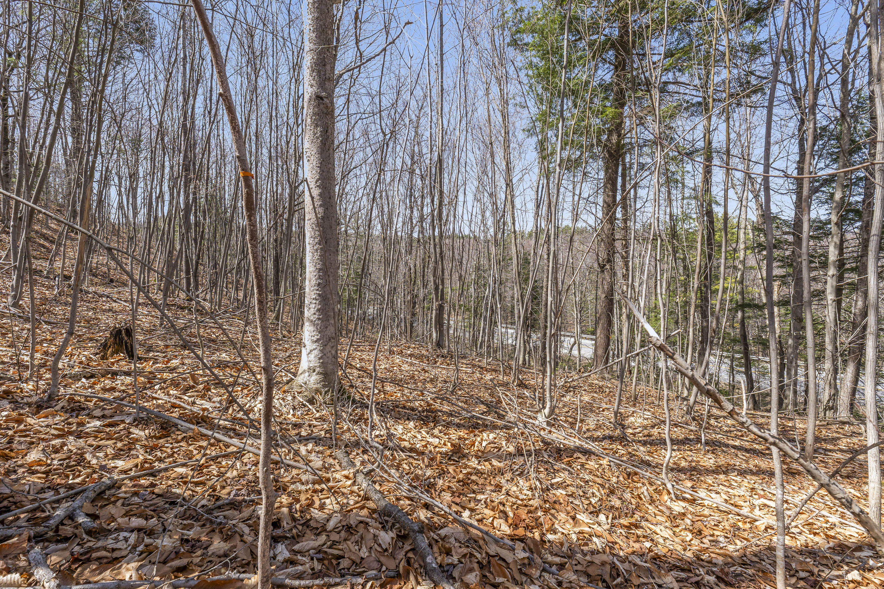 416 Us-2 Wilton ME 04294