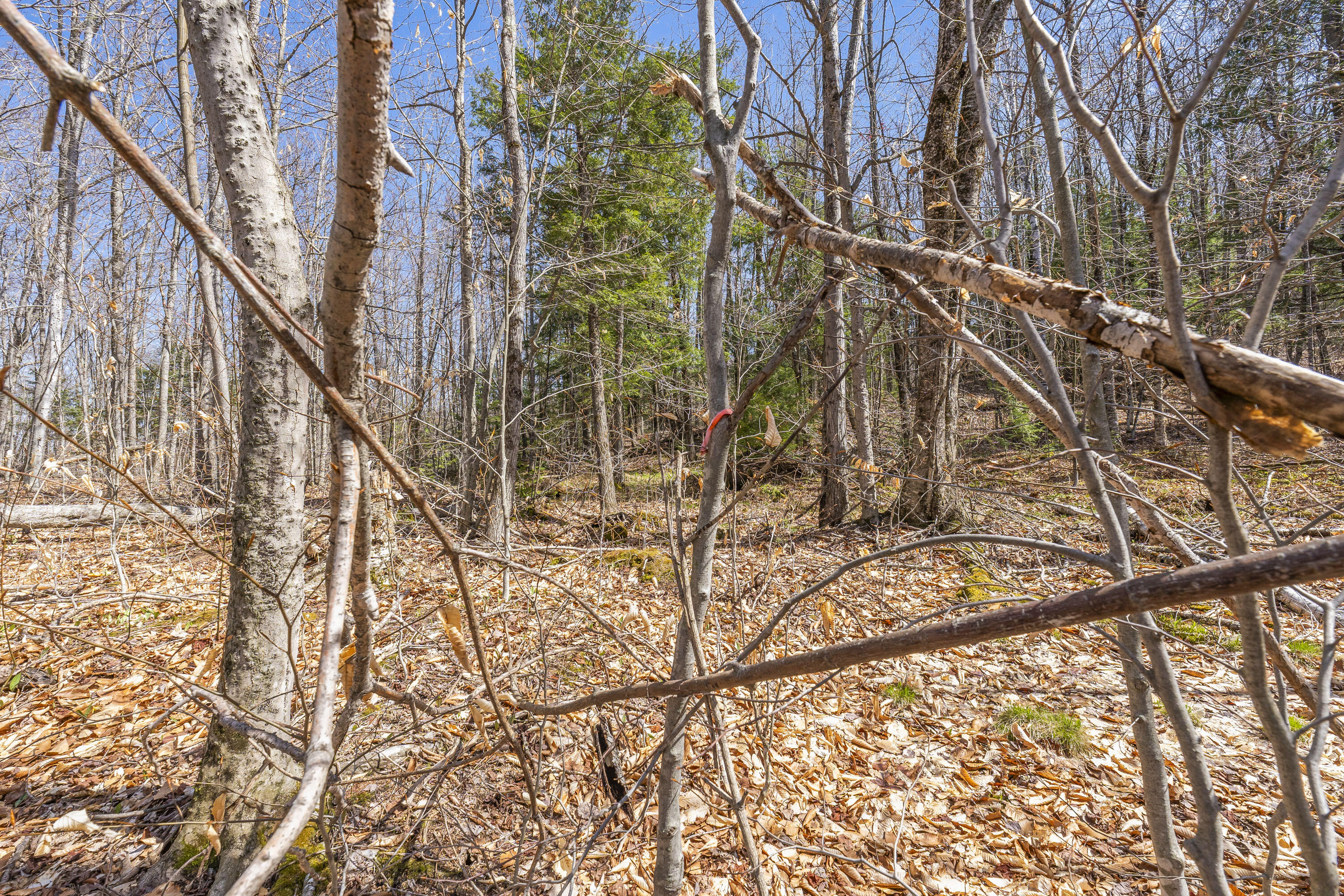 416 Us-2 Wilton ME 04294