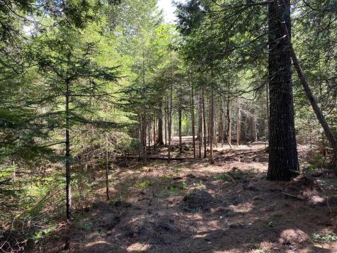 Lot 2 Off North Shore Road Lake View Plt ME 04481