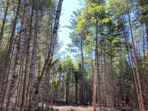 Lot 2 Off North Shore Road Lake View Plt ME 04481
