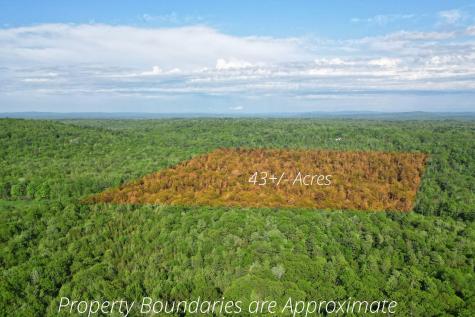 LOT16 Torrey Hill Road Turner ME 04282