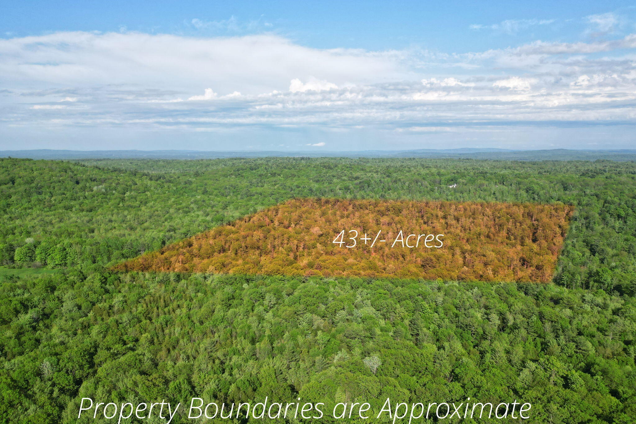 LOT16 Torrey Hill Road Turner ME 04282