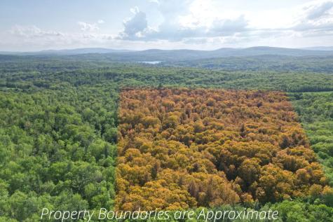 LOT16 Torrey Hill Road Turner ME 04282