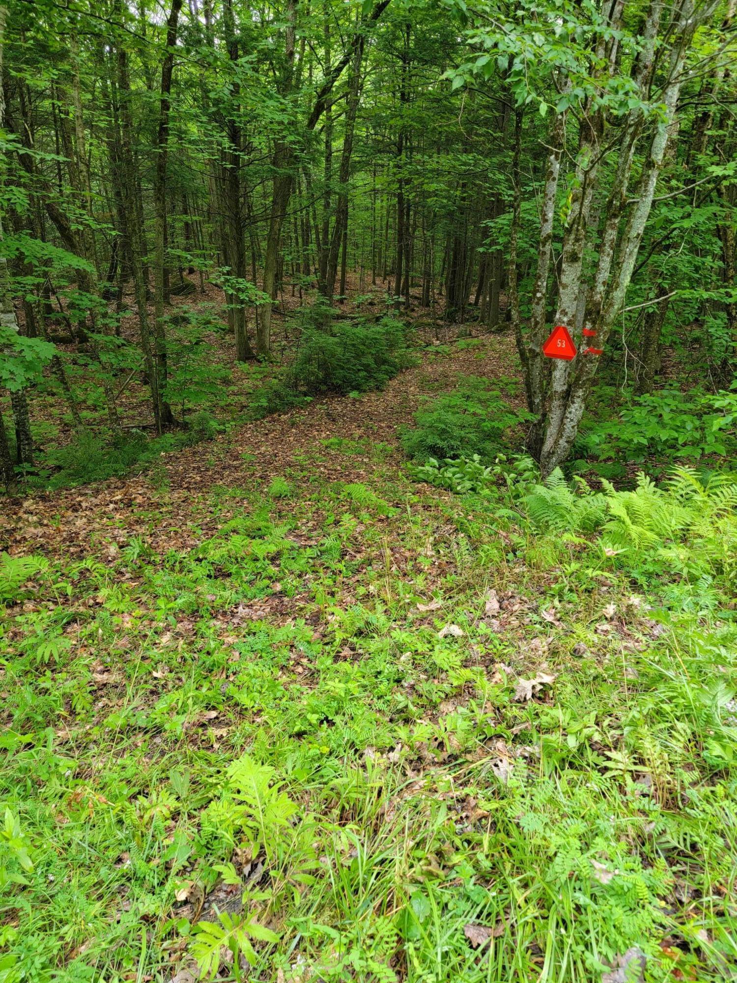 Lot 60 Shore Road Fayette ME 04349