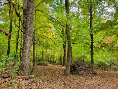 Lot# 96 Town House Road Vienna ME 04360