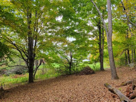 Lot# 96 Town House Road Vienna ME 04360