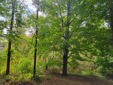 Lot# 96 Town House Road Vienna ME 04360