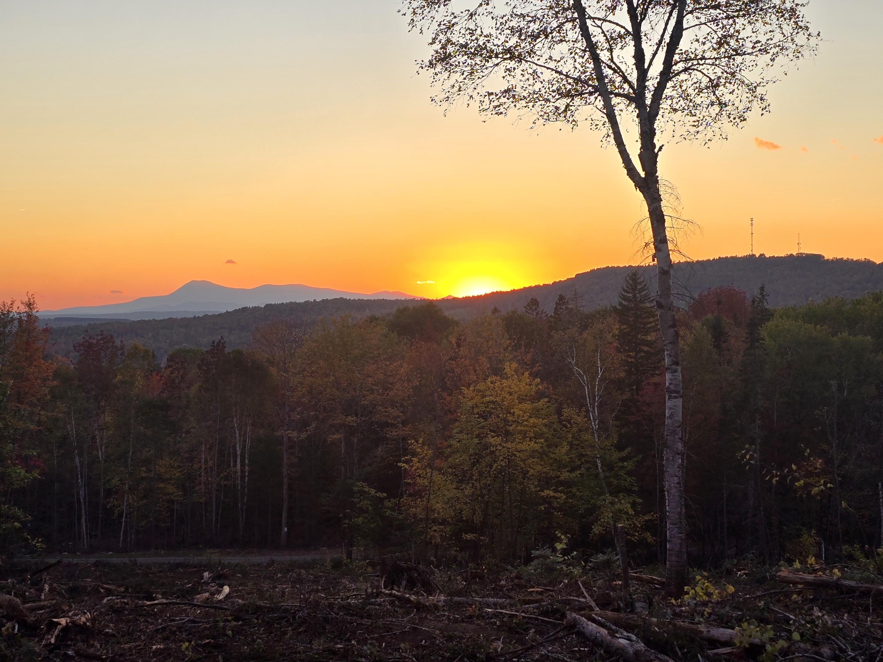Lot C & G Dow Farm Road Island Falls ME 04747