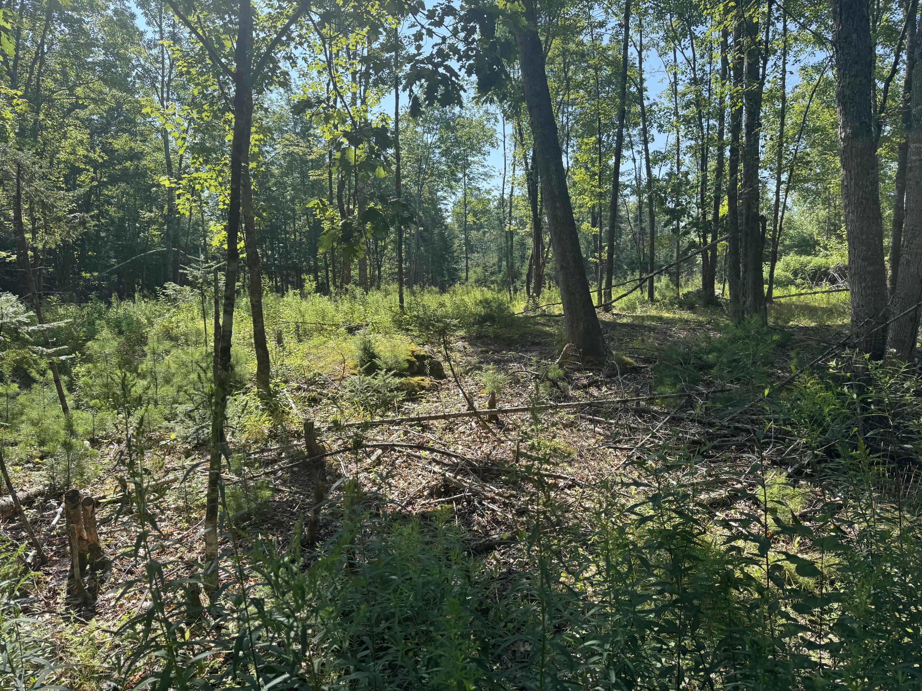 Tbd Brookside Lane Appleton ME 04862