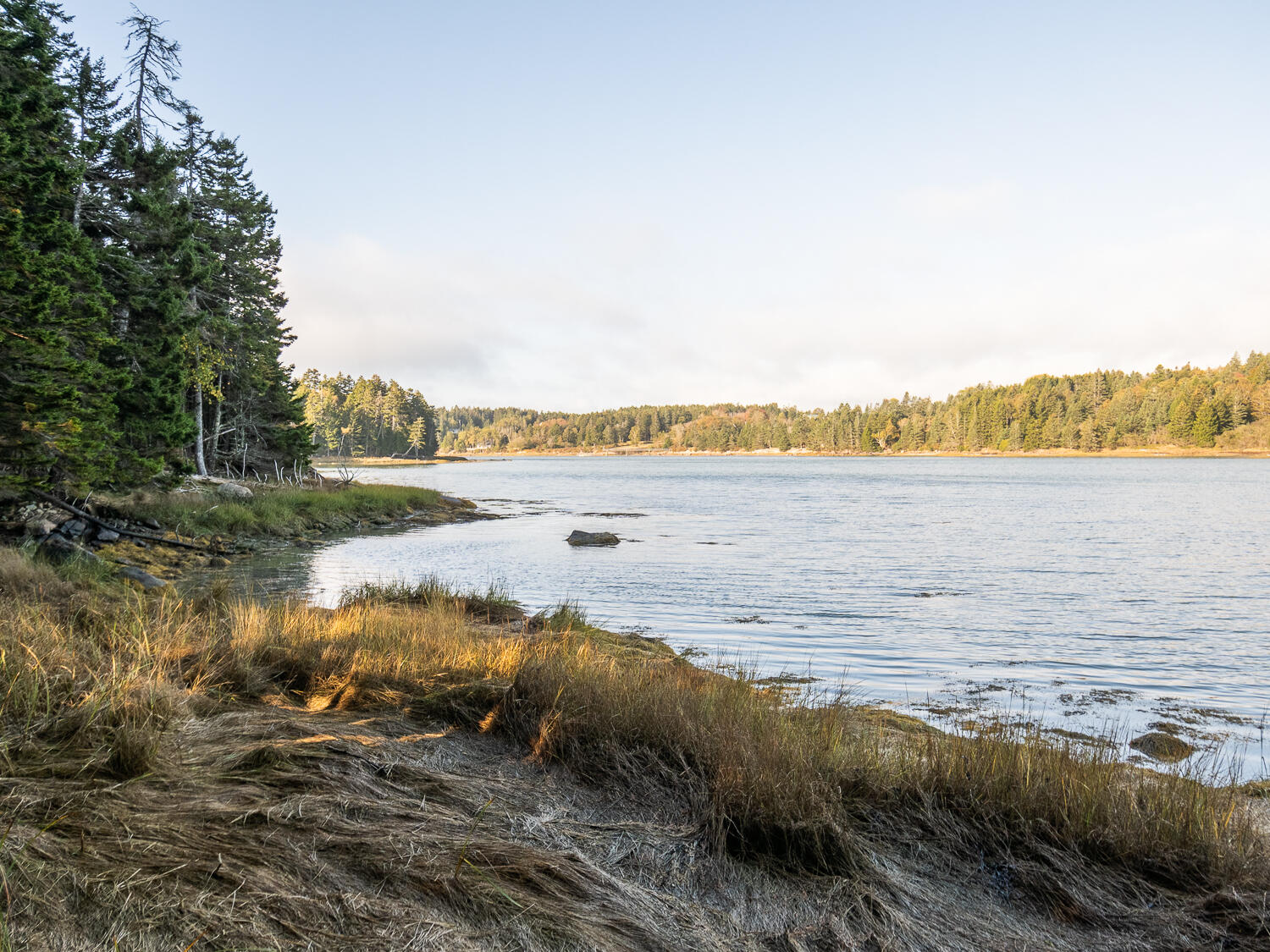 63 Minturn Road Swans Island ME 04685