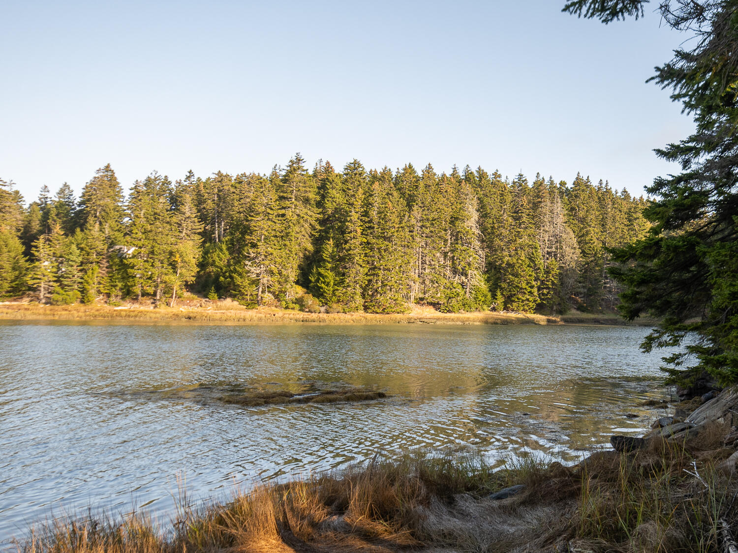 63 Minturn Road Swans Island ME 04685