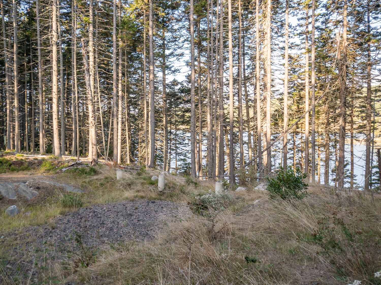 63 Minturn Road Swans Island ME 04685